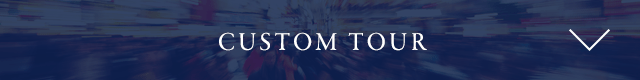 CUSTOM TOUR