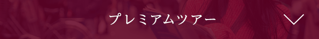 ガイド付きツアー